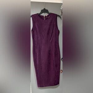 Calvin Klein Deep Purple Dress with gold zipper. Never worn